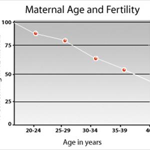 Ovulation Calendar Dr Amy - Sex In Pregnancy, How Safe?