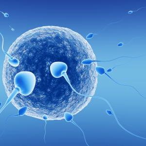 Increasing Fertility Naturally - Pregnancy Miracle A Scam