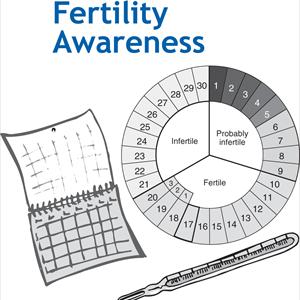 No Baby Fertility Calendar - Help With Pregnancy