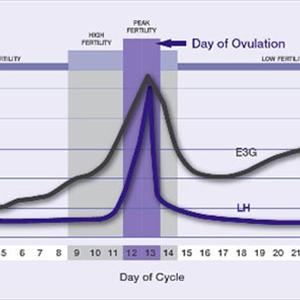 Tracking Ovulation Cycle Days - Help With Fertility After 40 - Cure Your Infertility