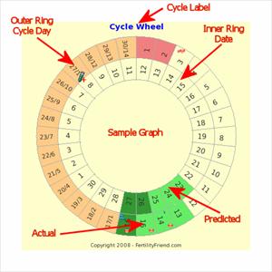 Conceiving With Irregular Periods - Infertility Cure For Women